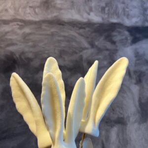 Alternative view of Hasenohren